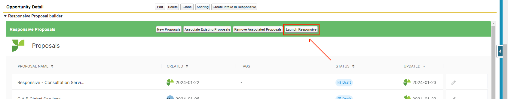 PB - Salesforce - Launch Responsive.png