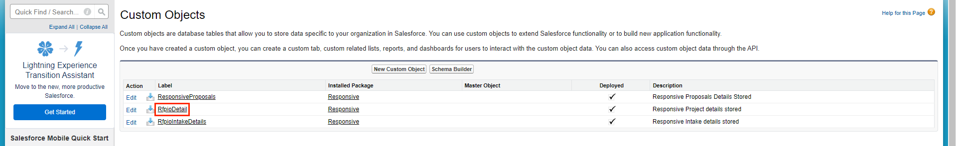 Salesforce - Custom Object - RfpioDetail.png